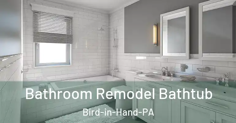 inner Bathroom imggen Bathroom Remodel Bathtub Bird-in-Hand-PA