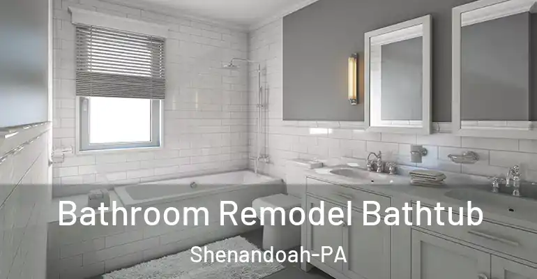 inner Bathroom imggen Bathroom Remodel Bathtub Shenandoah-PA