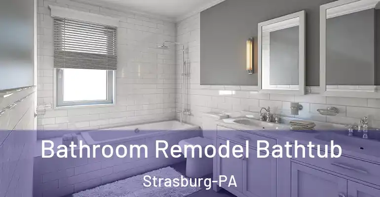 inner Bathroom imggen Bathroom Remodel Bathtub Strasburg-PA