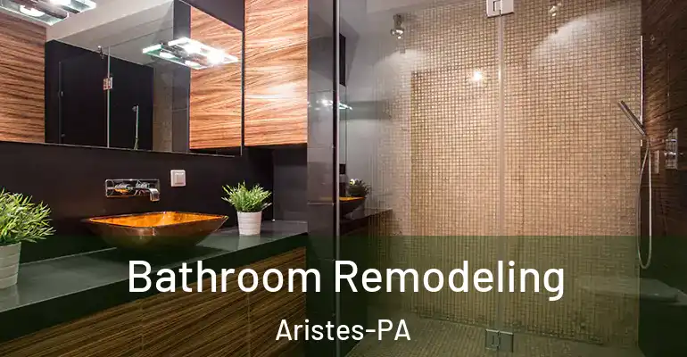inner Bathroom imggen Bathroom Remodeling Aristes-PA