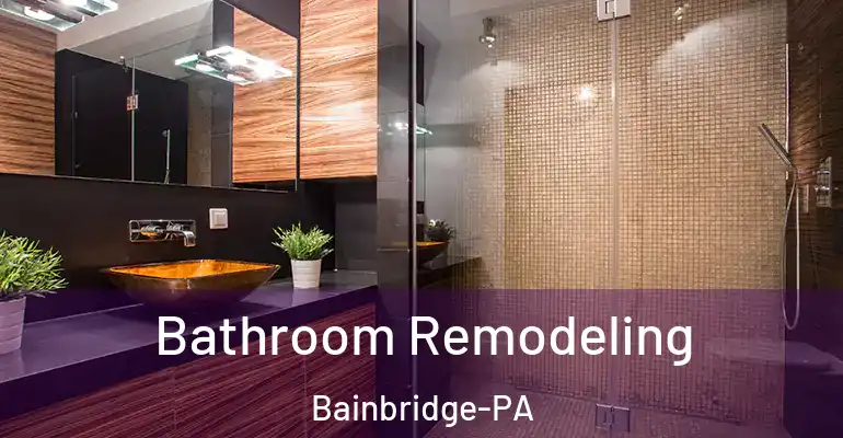 inner Bathroom imggen Bathroom Remodeling Bainbridge-PA