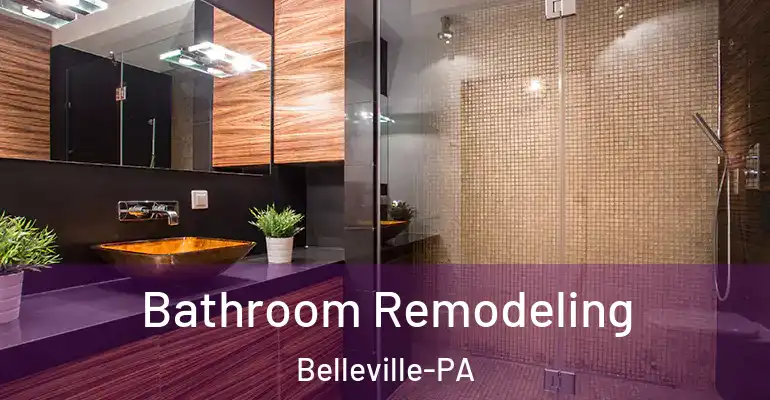 inner Bathroom imggen Bathroom Remodeling Belleville-PA