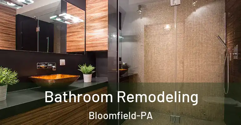 inner Bathroom imggen Bathroom Remodeling Bloomfield-PA
