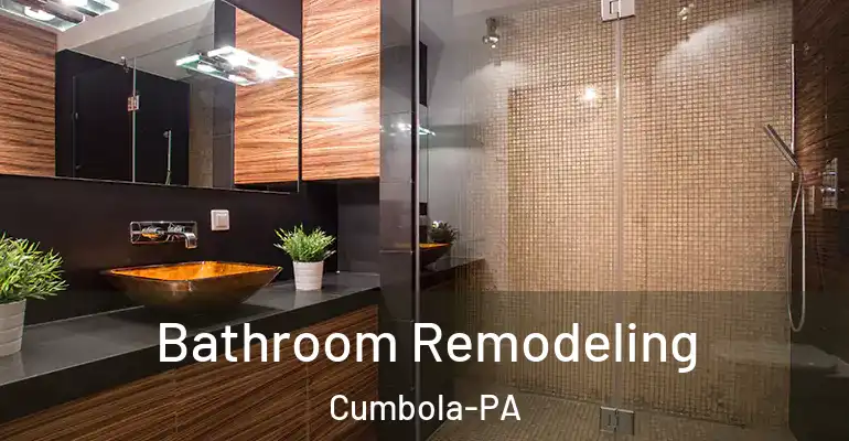 inner Bathroom imggen Bathroom Remodeling Cumbola-PA