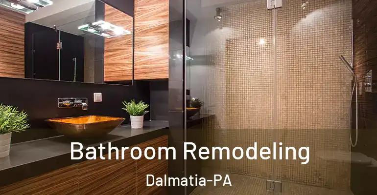 inner Bathroom imggen Bathroom Remodeling Dalmatia-PA
