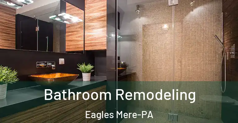 inner Bathroom imggen Bathroom Remodeling Eagles Mere-PA