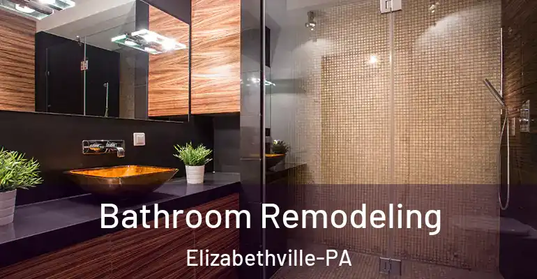 inner Bathroom imggen Bathroom Remodeling Elizabethville-PA