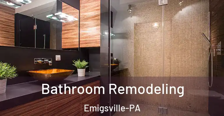 inner Bathroom imggen Bathroom Remodeling Emigsville-PA