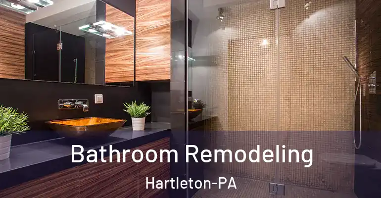 inner Bathroom imggen Bathroom Remodeling Hartleton-PA
