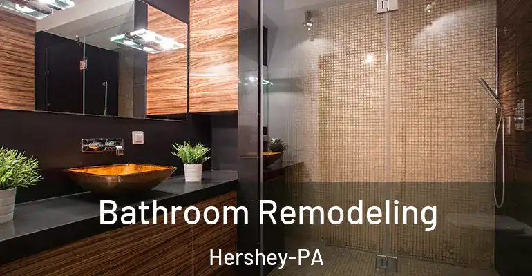 inner Bathroom imggen Bathroom Remodeling Hershey-PA