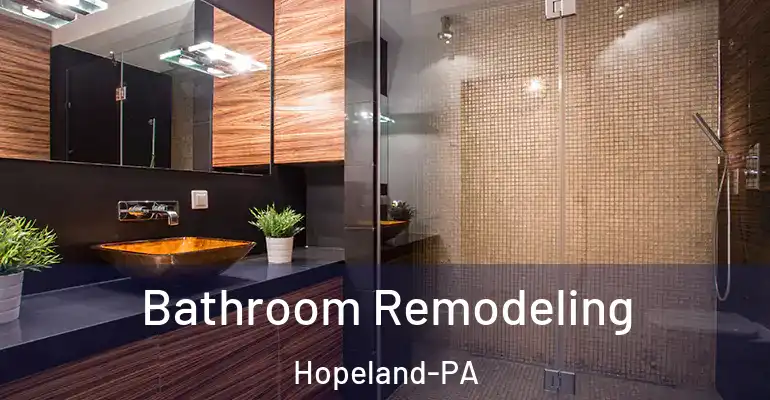 inner Bathroom imggen Bathroom Remodeling Hopeland-PA