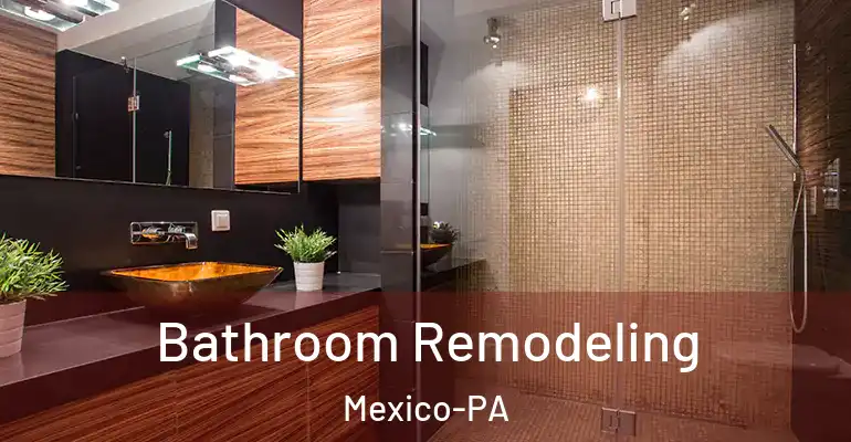 inner Bathroom imggen Bathroom Remodeling Mexico-PA