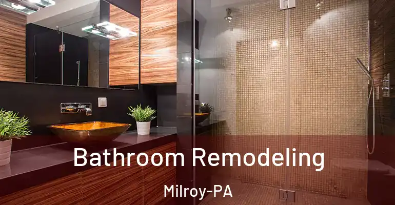 inner Bathroom imggen Bathroom Remodeling Milroy-PA