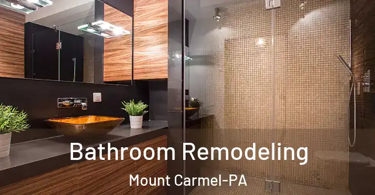 inner Bathroom imggen Bathroom Remodeling Mount Carmel-PA
