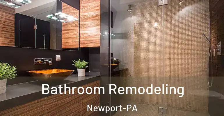 inner Bathroom imggen Bathroom Remodeling Newport-PA