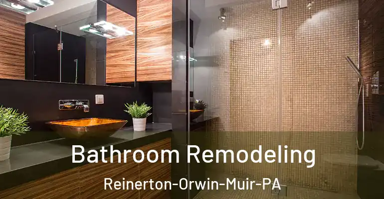 inner Bathroom imggen Bathroom Remodeling Reinerton-Orwin-Muir-PA