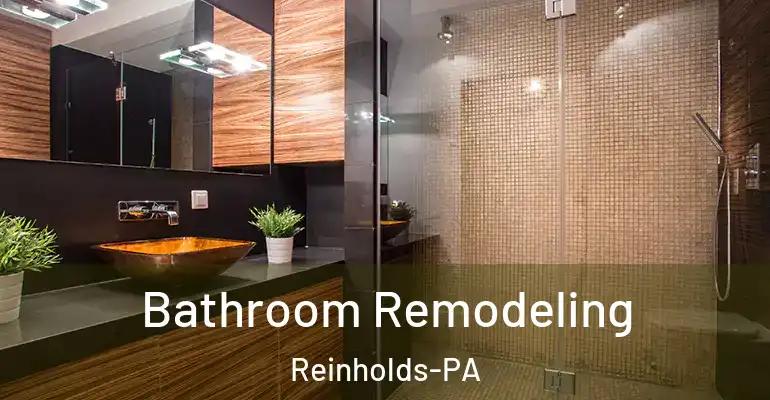 inner Bathroom imggen Bathroom Remodeling Reinholds-PA