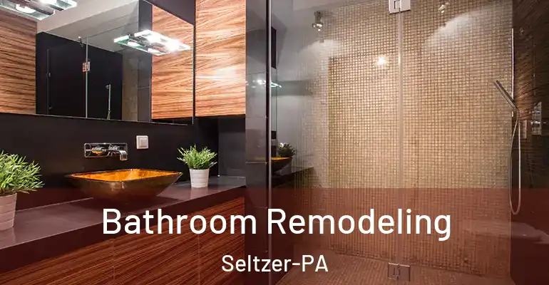 inner Bathroom imggen Bathroom Remodeling Seltzer-PA