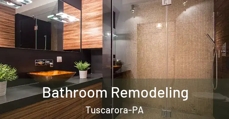 inner Bathroom imggen Bathroom Remodeling Tuscarora-PA