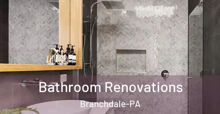 inner Bathroom imggen Bathroom Renovations Branchdale-PA
