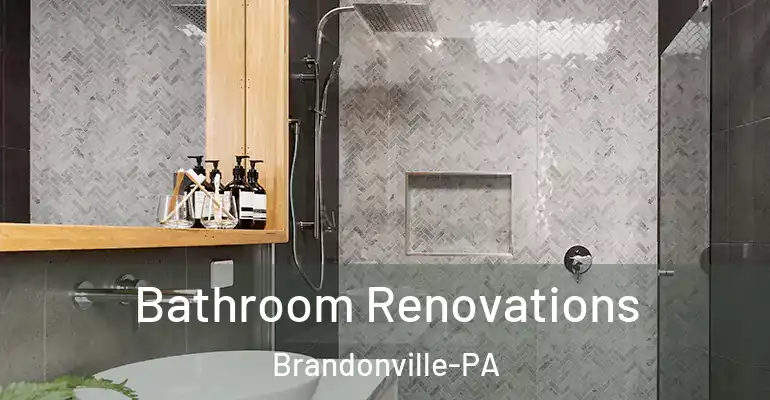 inner Bathroom imggen Bathroom Renovations Brandonville-PA