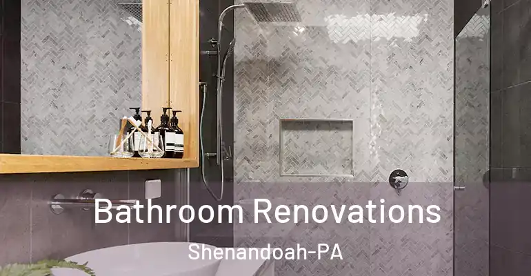 inner Bathroom imggen Bathroom Renovations Shenandoah-PA