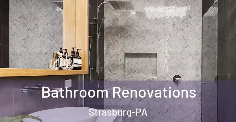 inner Bathroom imggen Bathroom Renovations Strasburg-PA