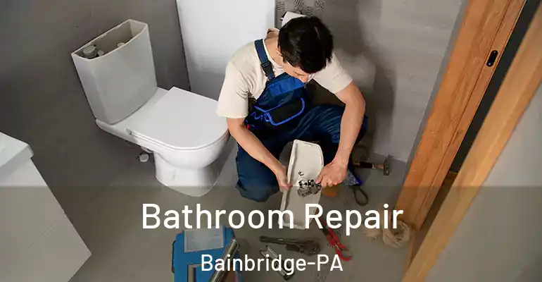 inner Bathroom imggen Bathroom Repair Bainbridge-PA