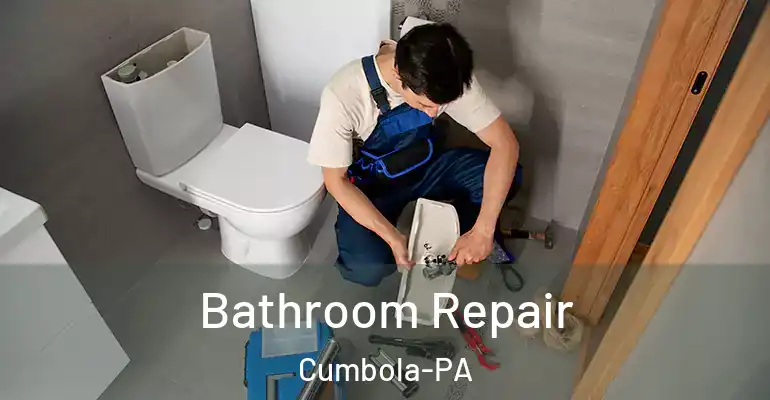 inner Bathroom imggen Bathroom Repair Cumbola-PA