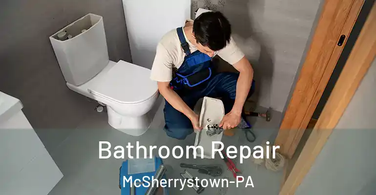 inner Bathroom imggen Bathroom Repair McSherrystown-PA