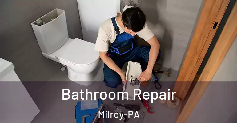inner Bathroom imggen Bathroom Repair Milroy-PA
