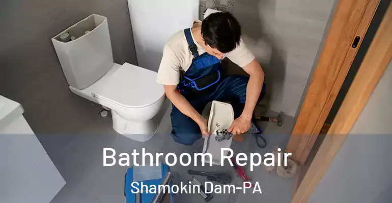 inner Bathroom imggen Bathroom Repair Shamokin Dam-PA