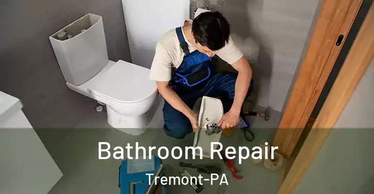 inner Bathroom imggen Bathroom Repair Tremont-PA