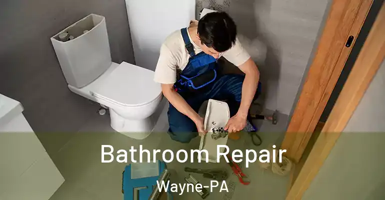 inner Bathroom imggen Bathroom Repair Wayne-PA
