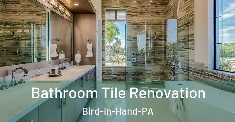 inner Bathroom imggen Bathroom Tile Renovation Bird-in-Hand-PA