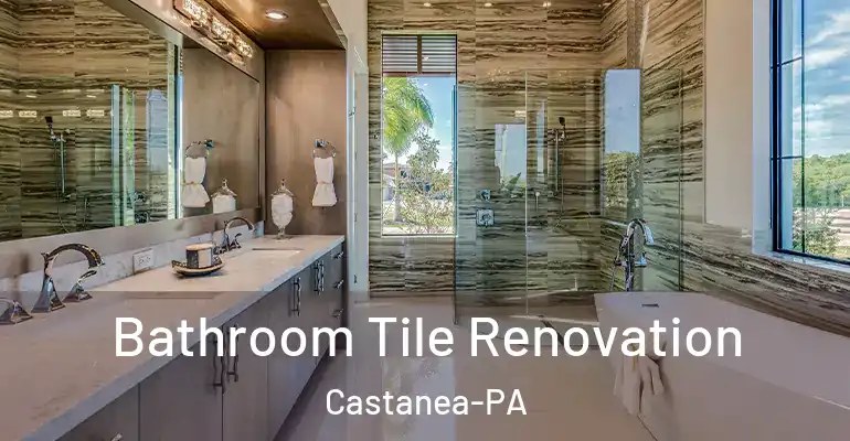 inner Bathroom imggen Bathroom Tile Renovation Castanea-PA