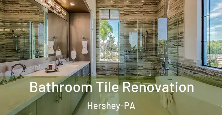 inner Bathroom imggen Bathroom Tile Renovation Hershey-PA