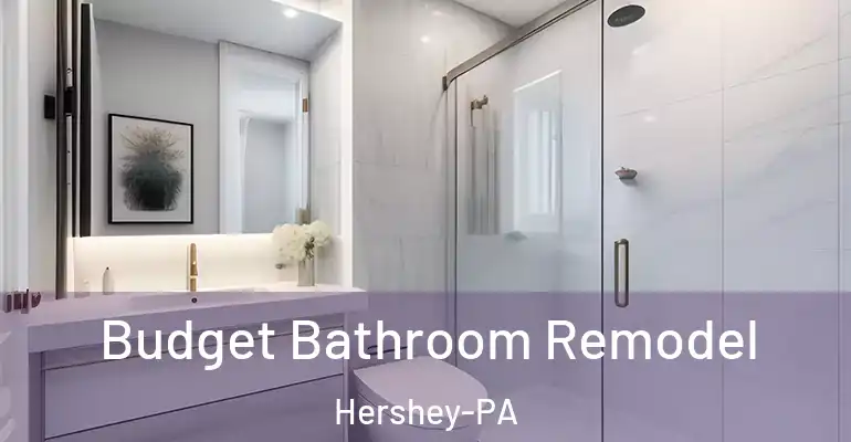 inner Bathroom imggen Budget Bathroom Remodel Hershey-PA