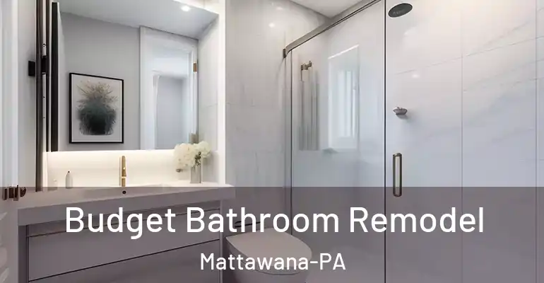 inner Bathroom imggen Budget Bathroom Remodel Mattawana-PA