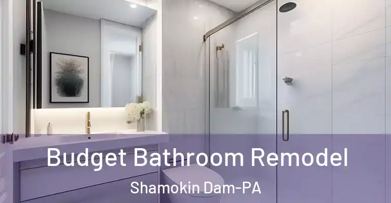 inner Bathroom imggen Budget Bathroom Remodel Shamokin Dam-PA