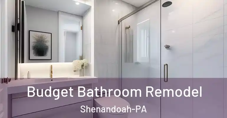 inner Bathroom imggen Budget Bathroom Remodel Shenandoah-PA