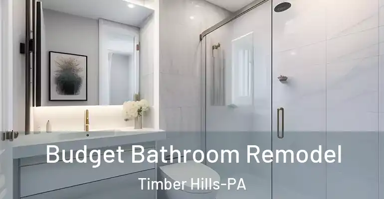 inner Bathroom imggen Budget Bathroom Remodel Timber Hills-PA
