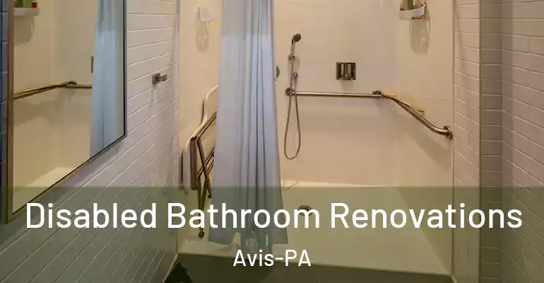 inner Bathroom imggen Disabled Bathroom Renovations Avis-PA