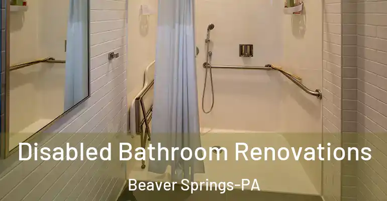 inner Bathroom imggen Disabled Bathroom Renovations Beaver Springs-PA
