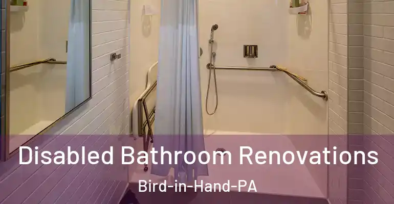 inner Bathroom imggen Disabled Bathroom Renovations Bird-in-Hand-PA