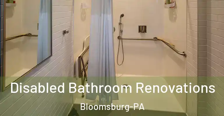 inner Bathroom imggen Disabled Bathroom Renovations Bloomsburg-PA