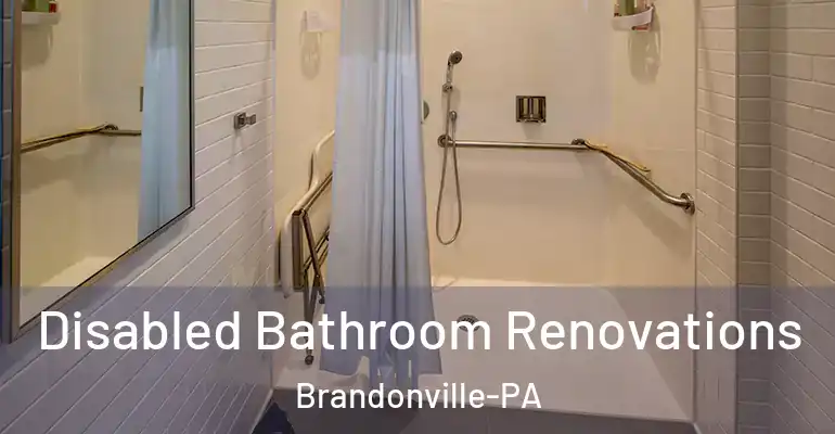 inner Bathroom imggen Disabled Bathroom Renovations Brandonville-PA