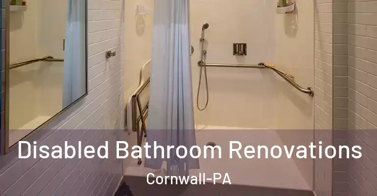 inner Bathroom imggen Disabled Bathroom Renovations Cornwall-PA