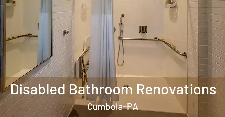 inner Bathroom imggen Disabled Bathroom Renovations Cumbola-PA