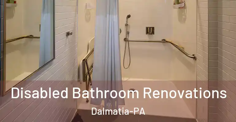 inner Bathroom imggen Disabled Bathroom Renovations Dalmatia-PA